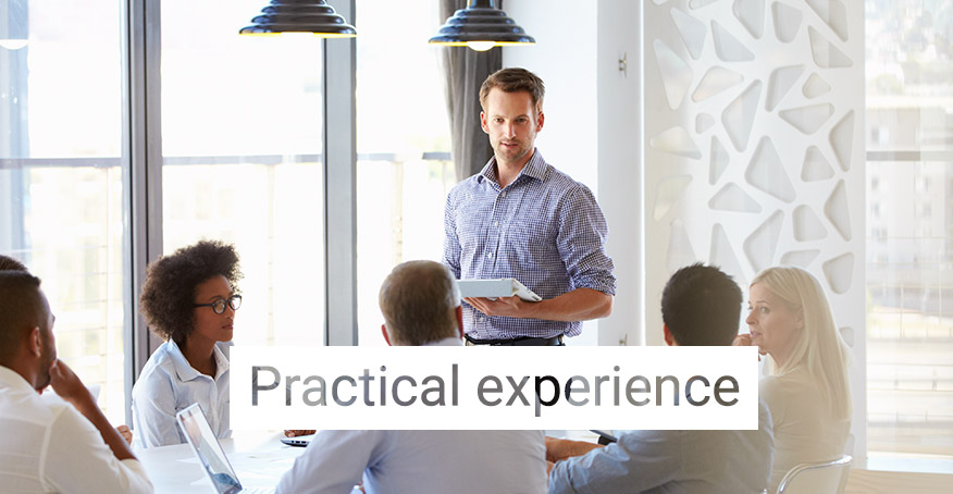 FICO Academic Engagement Practical Experience