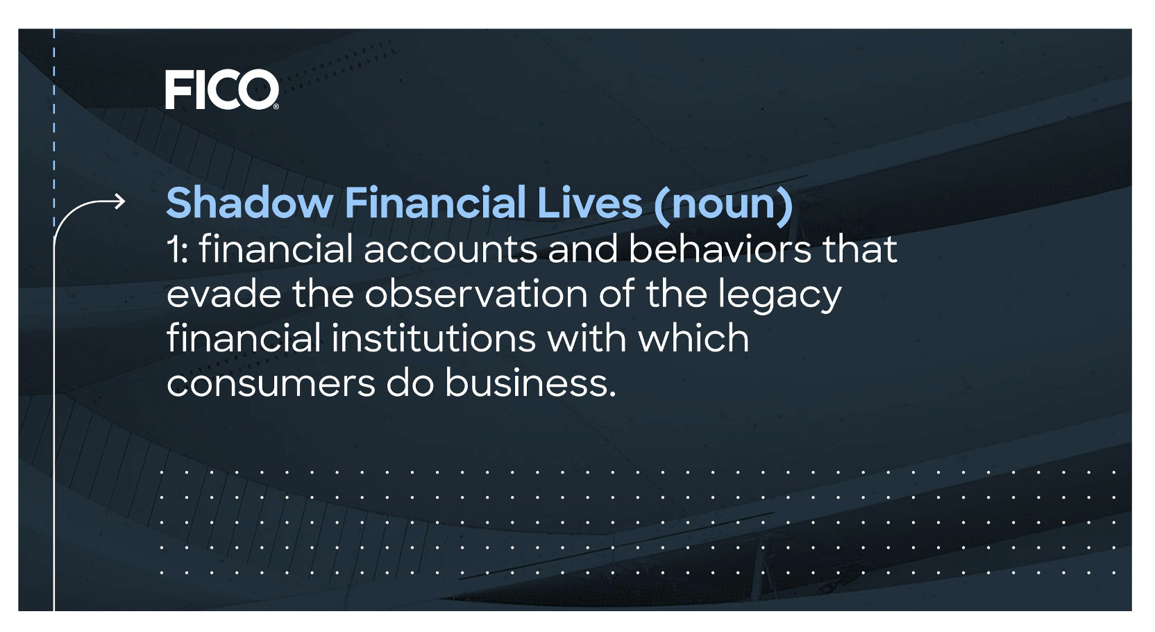 Shadow Financial Lives