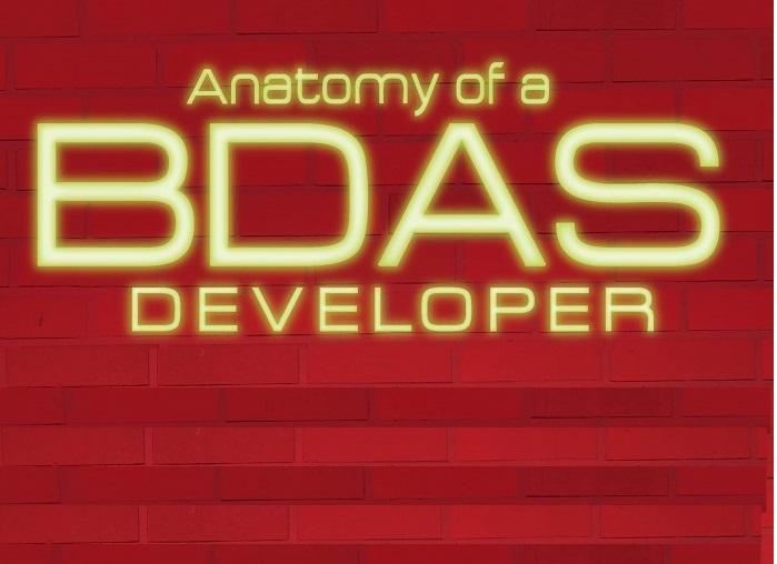 Infographic Anatomy of a BDAS Developer