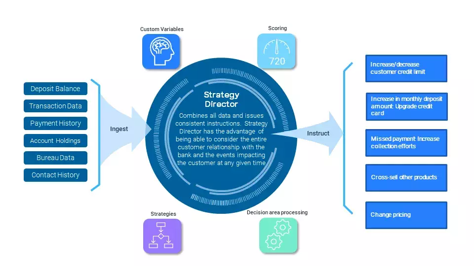Strategy Director