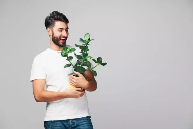 Nurture & Manage