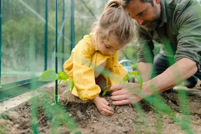 Nurture & Manage