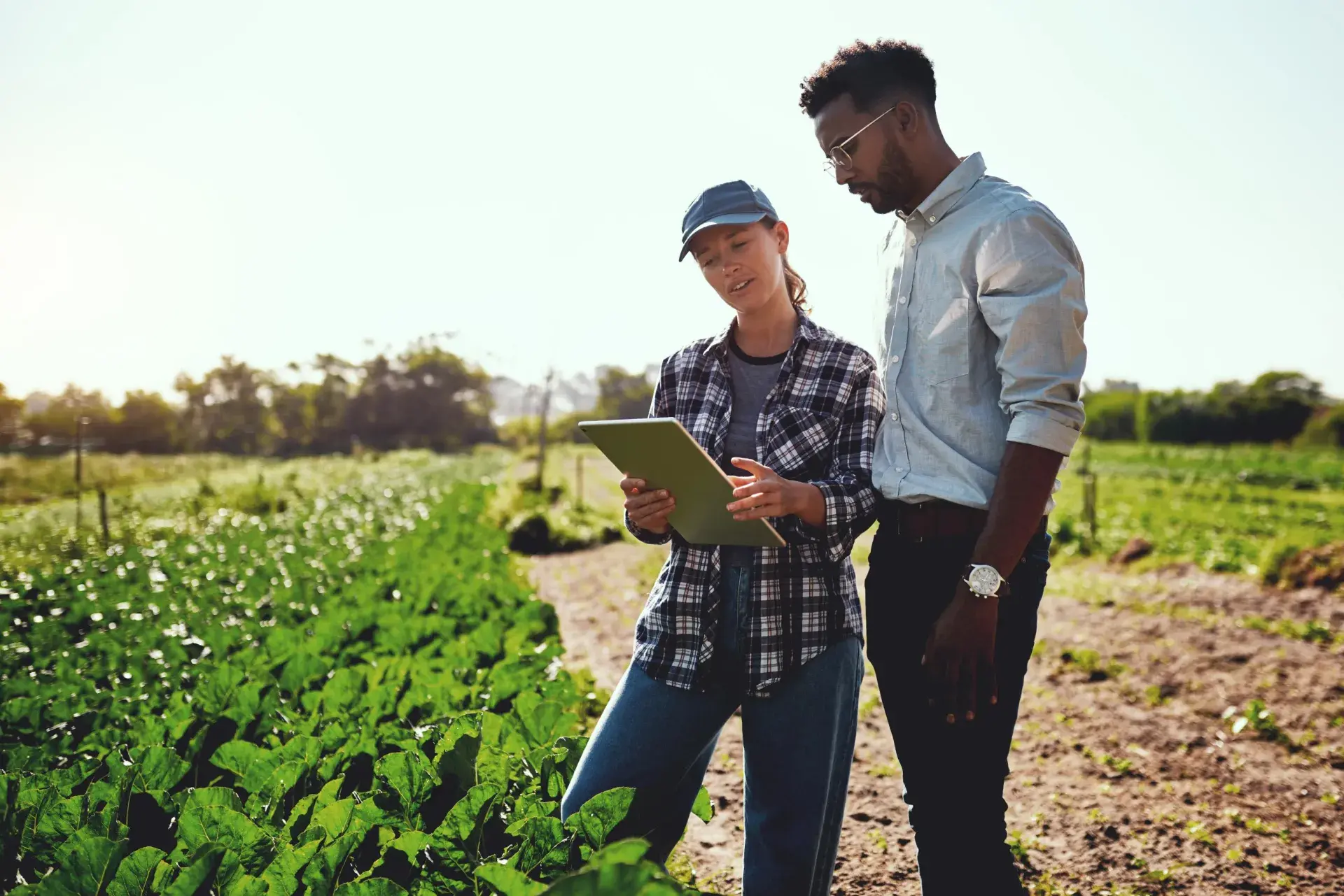 agriculture finance solutions