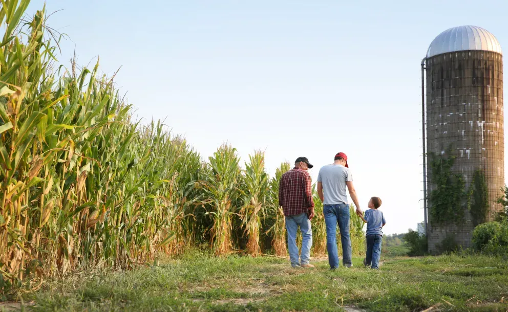 Família caminhando por um caminho de milharal em direção a um silo de grãos em uma fazenda ao entardecer.