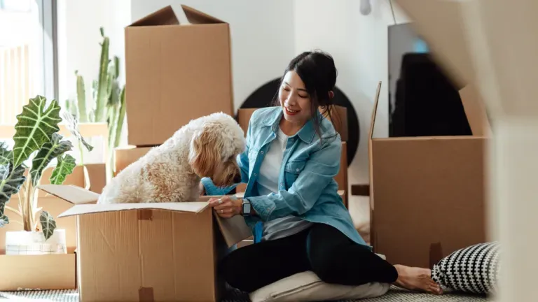 Mulher com cão e caixas móveis Mulher com cão e caixas móveis