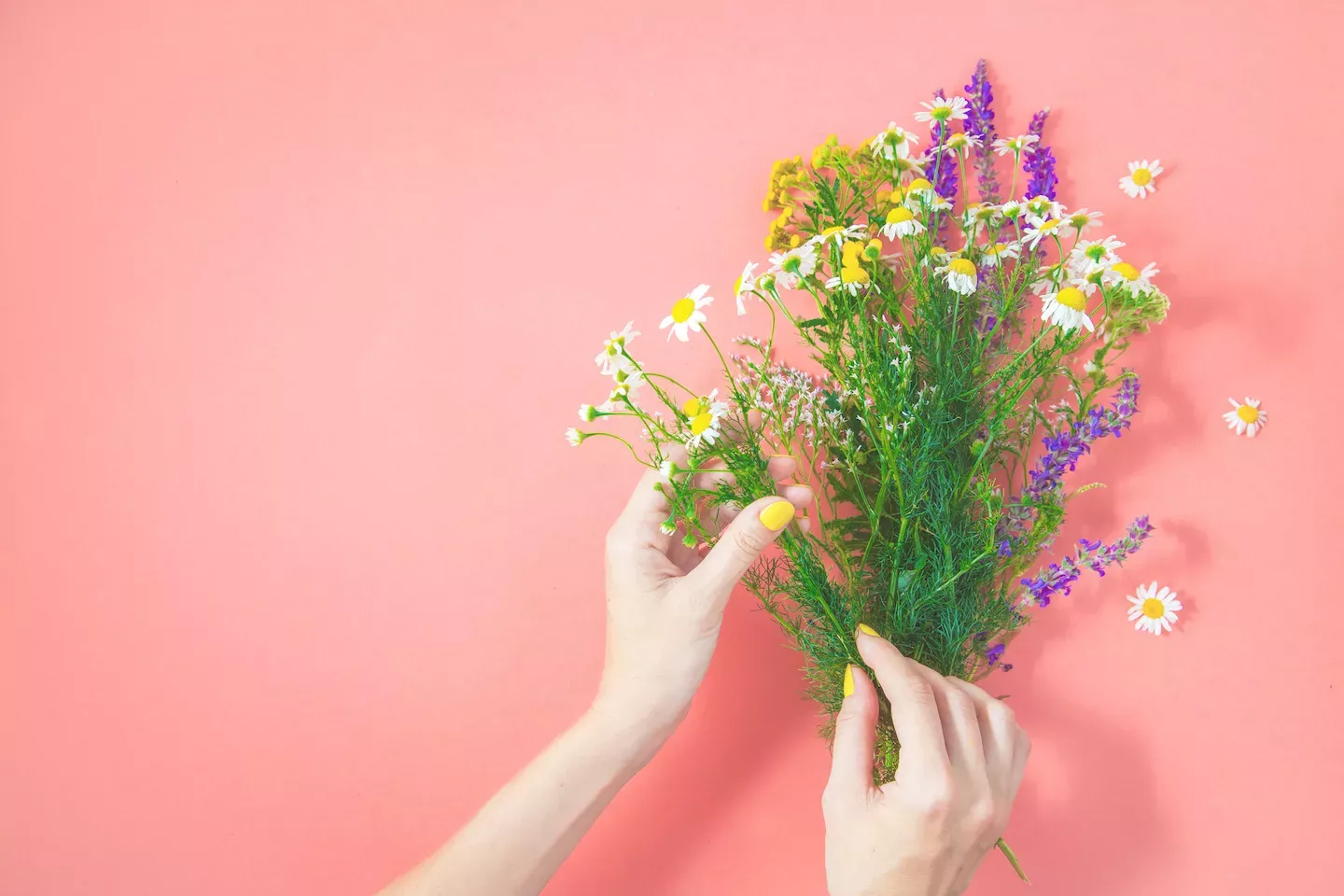 Coleta de flores