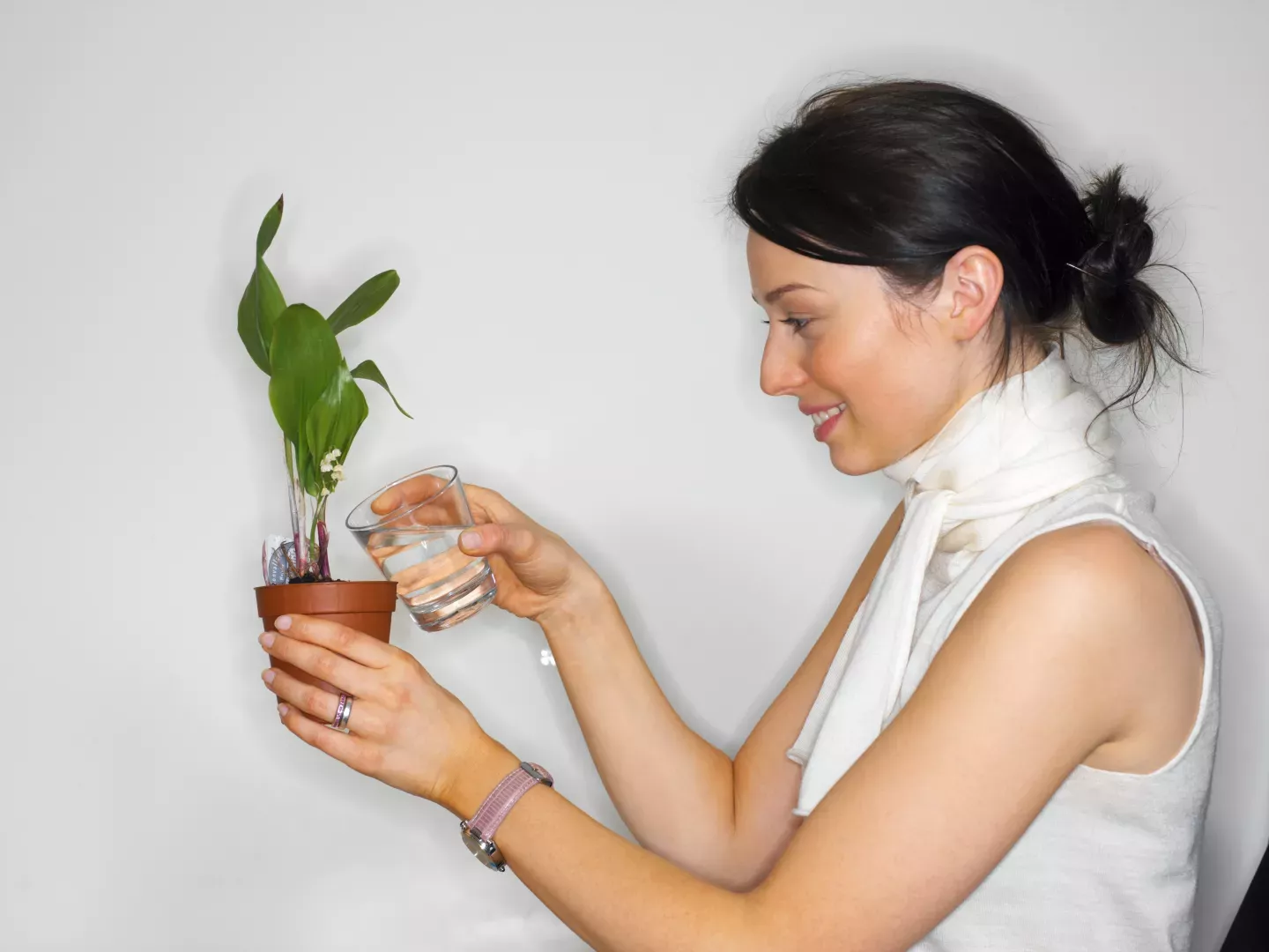 mulher regando planta pequena