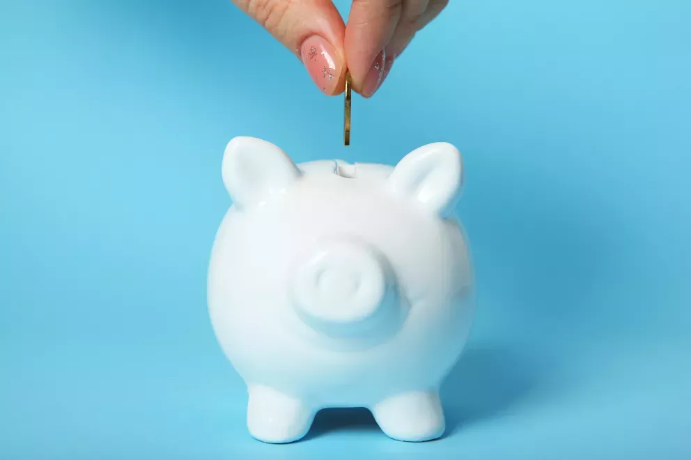 Sparschwein piggy bank