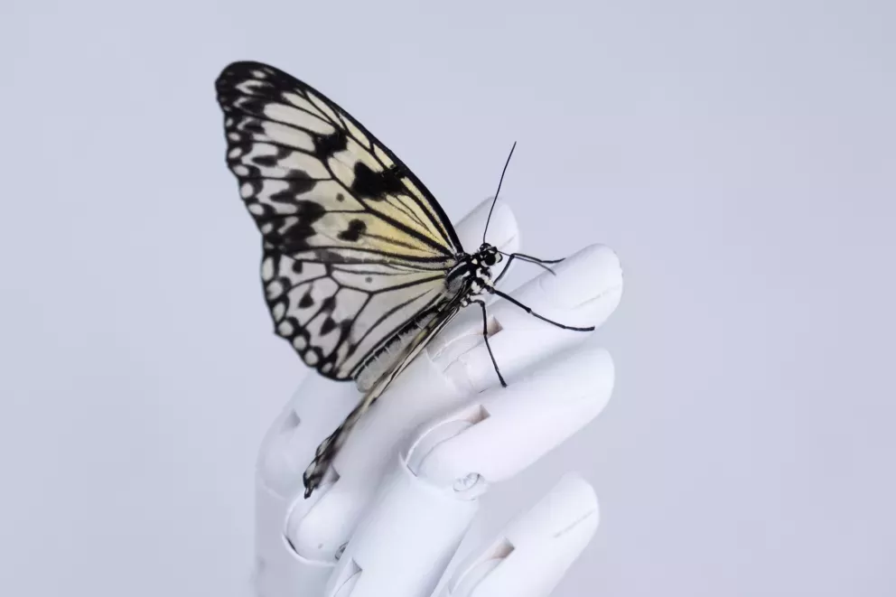 Robot y mariposa