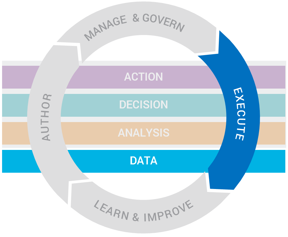 Decision data. Fico decision management suite. fico model manager. action and decision. fico decisions award-2025.