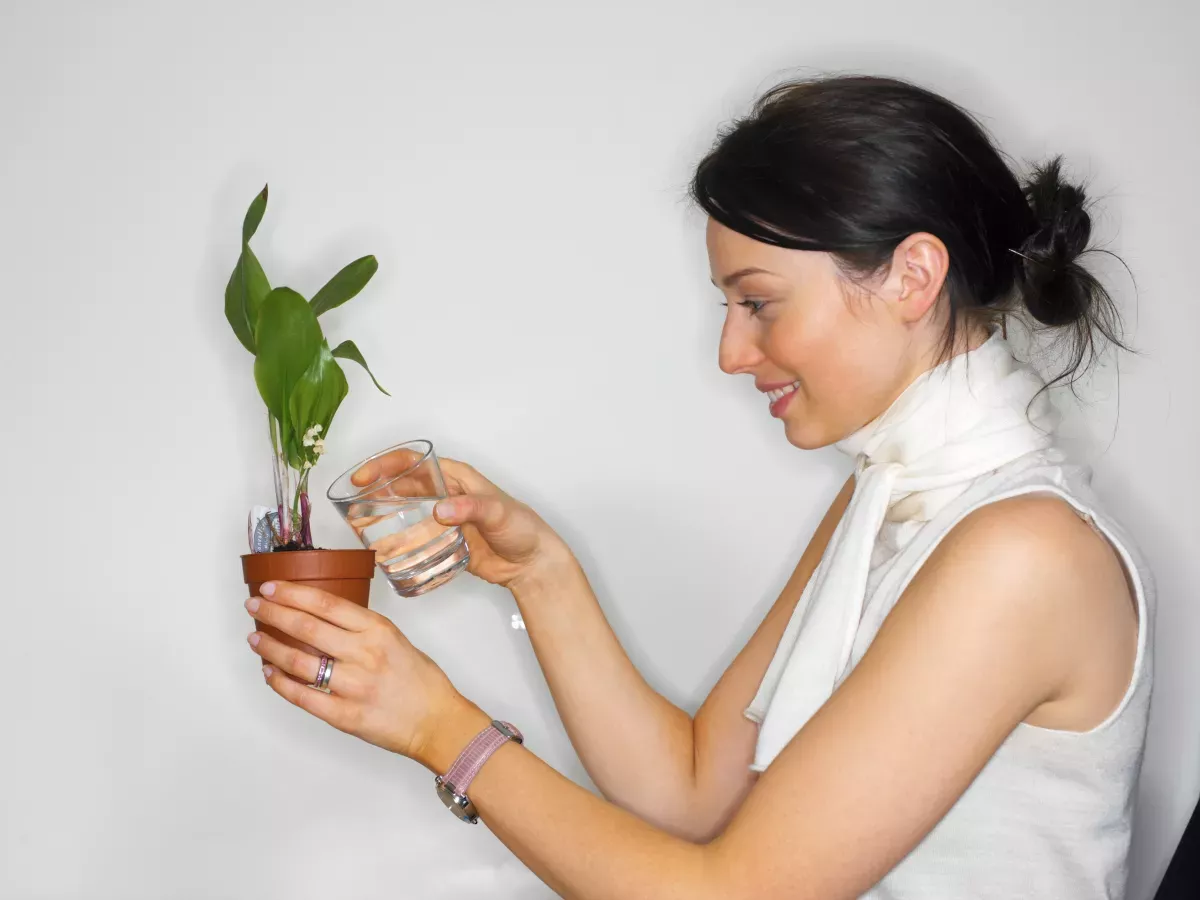 woman watering plant