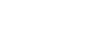American Airlines Logo