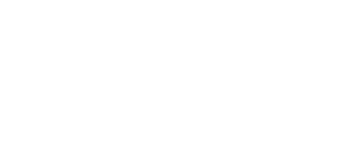 Ceska Sporitelna Logo
