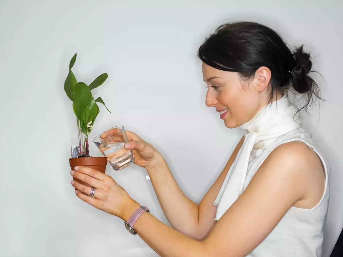 GettyImages-200326653-001.jpg woman watering house plant