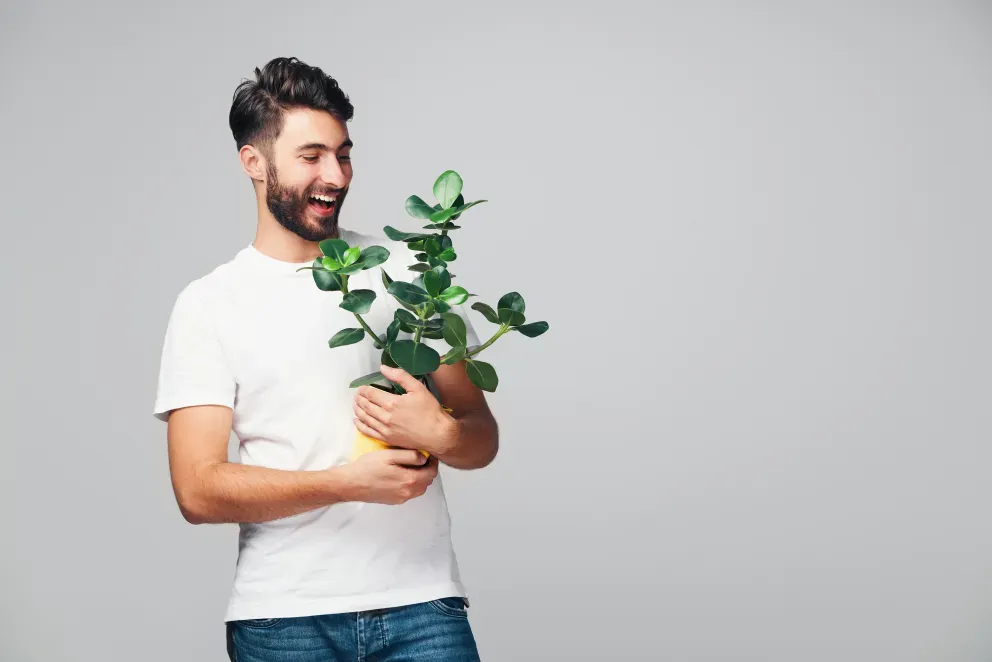 Nurture & Manage