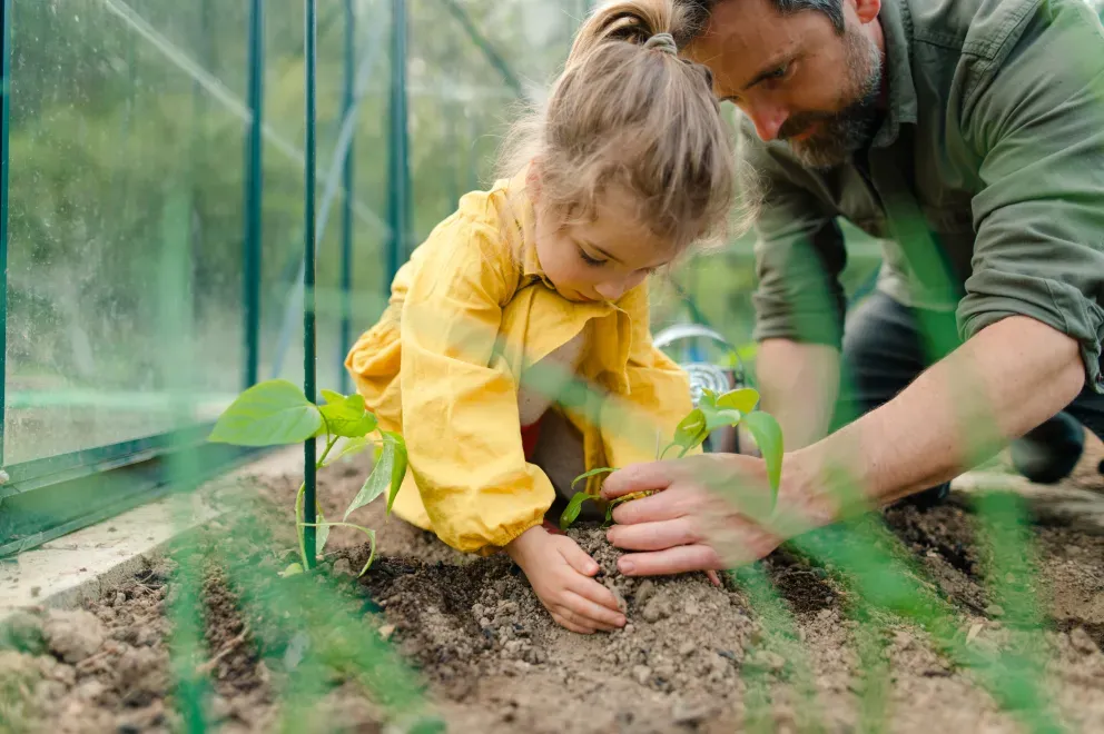 Nurture & Manage