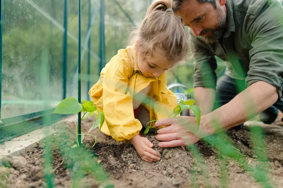close up of father and young daughter gardening together close up of father and young daughter gardening together