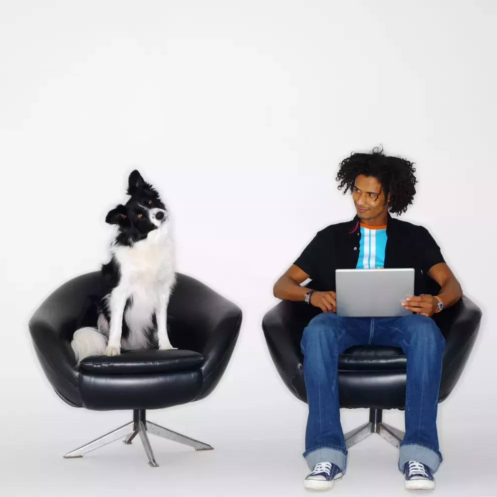 man and dog sitting on chairs man and dog sitting on chairs