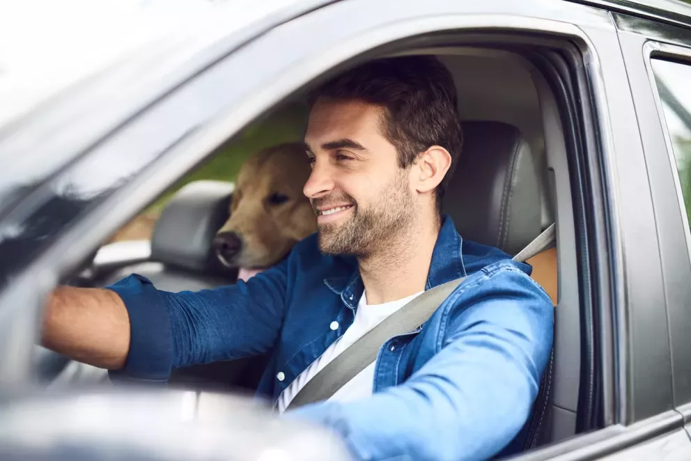 Man driving car
