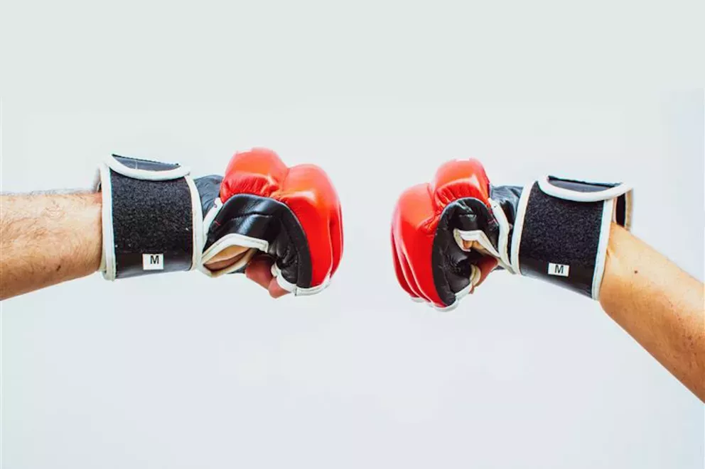 Boxing gloves