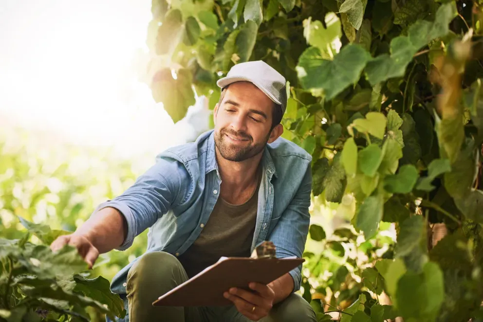 Farmer working on plants