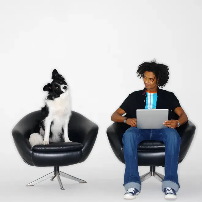 man and dog sitting on chairs man and dog sitting on chairs